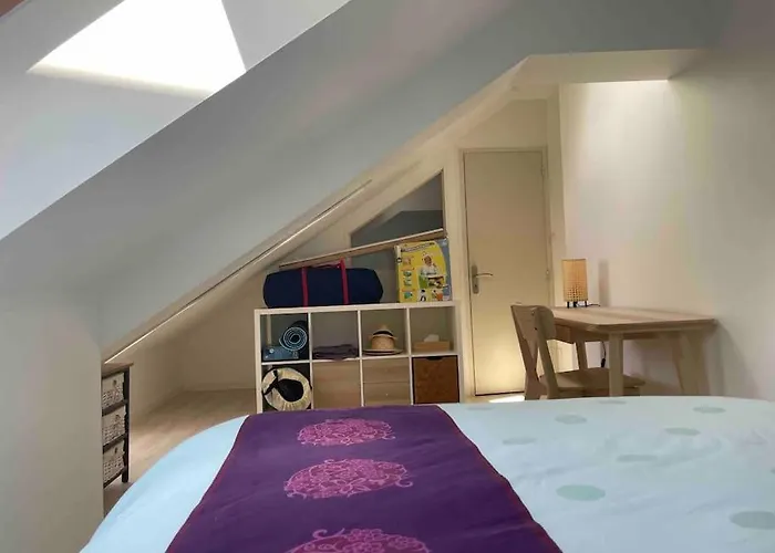 Apartment Maison De Avec Parking - Centre Caen